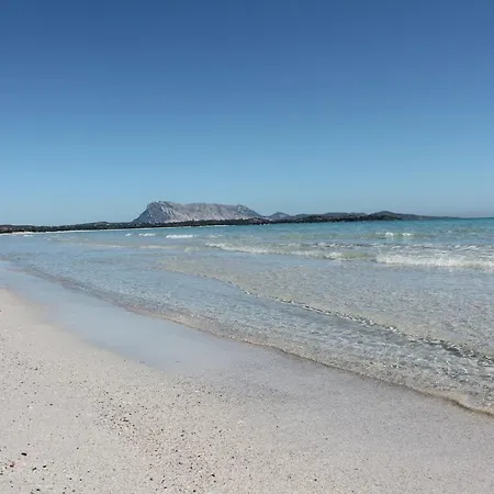 Bilocale 40 Mt Dalla Spiaggia By Budoniaffitti