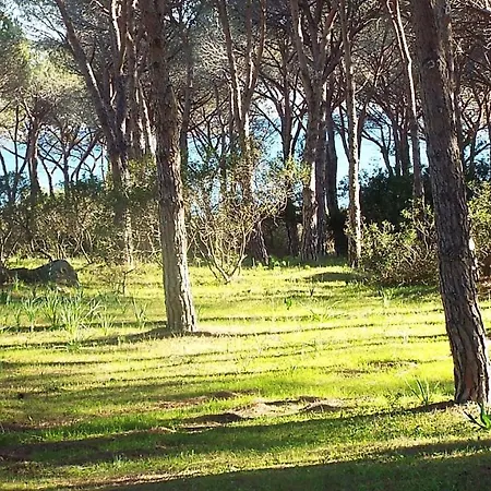 Holiday home Bilocale 40 Mt Dalla Spiaggia By Budoniaffitti *